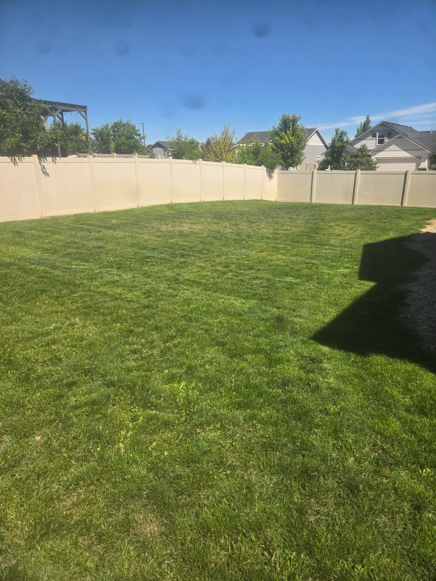 Large backyard maintained by Lucky Lawn Care
