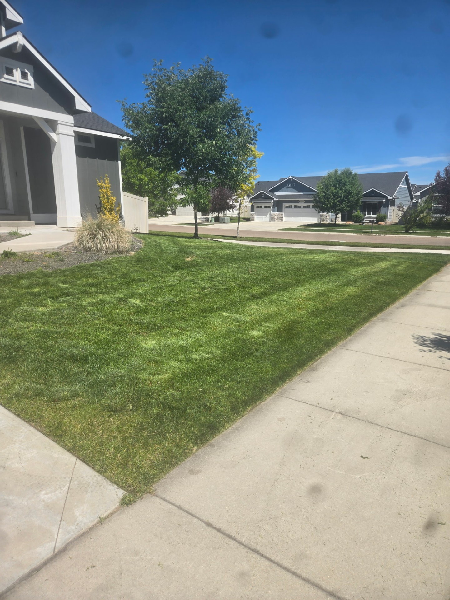 Freshly mowed front lawn in the Treasure Valley